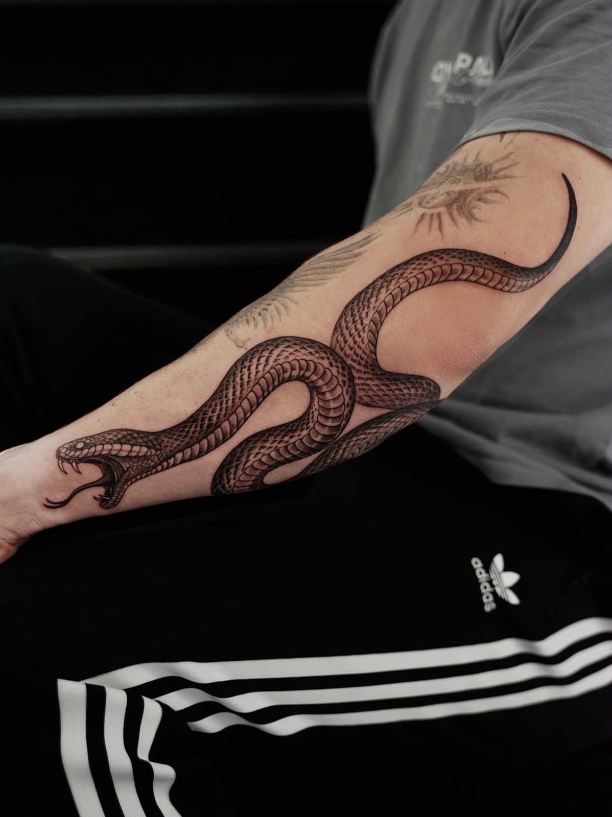 Realistic snake winding along a forearm